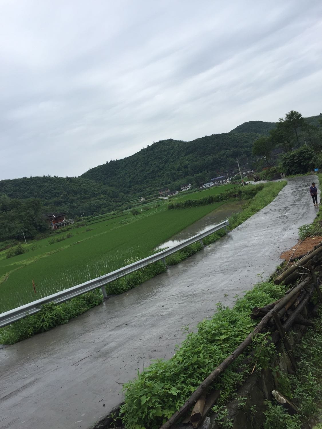 江中村最新天气预报，气象信息及生活建议，江中村天气预报，气象信息及生活建议全解析