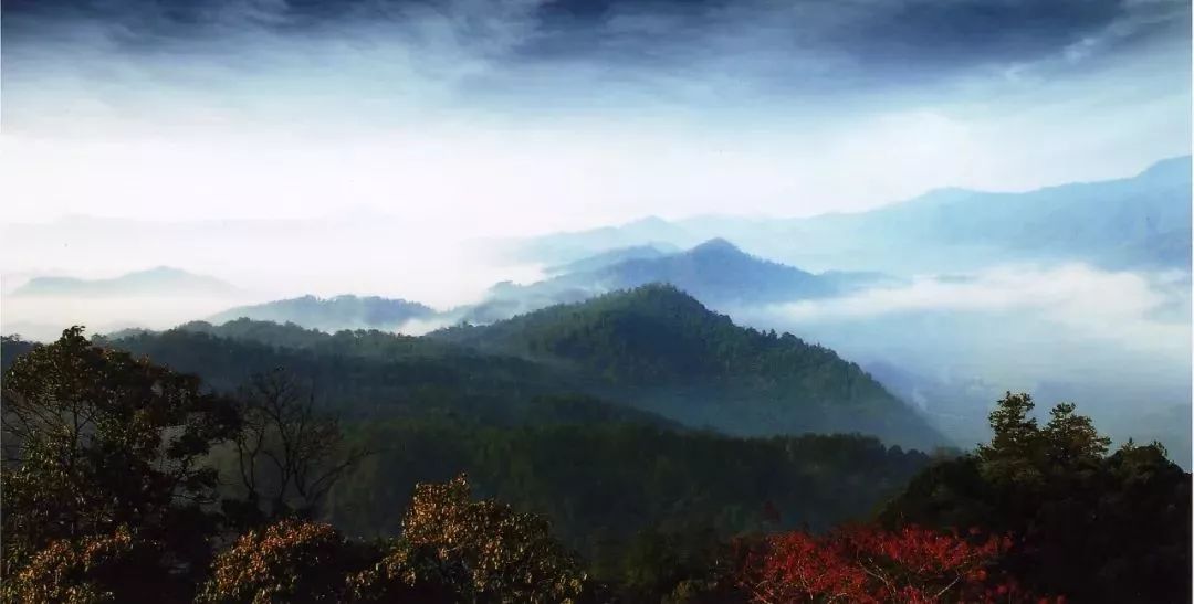 天竺山林场最新天气预报及其影响，天竺山林场天气预报及影响分析