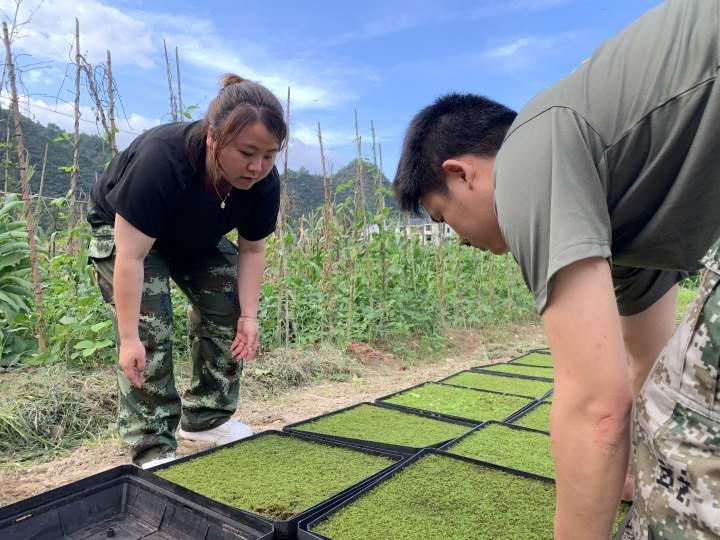 景宁畲族自治县科技局最新新闻深度解析，景宁畲族自治县科技局最新新闻深度解读