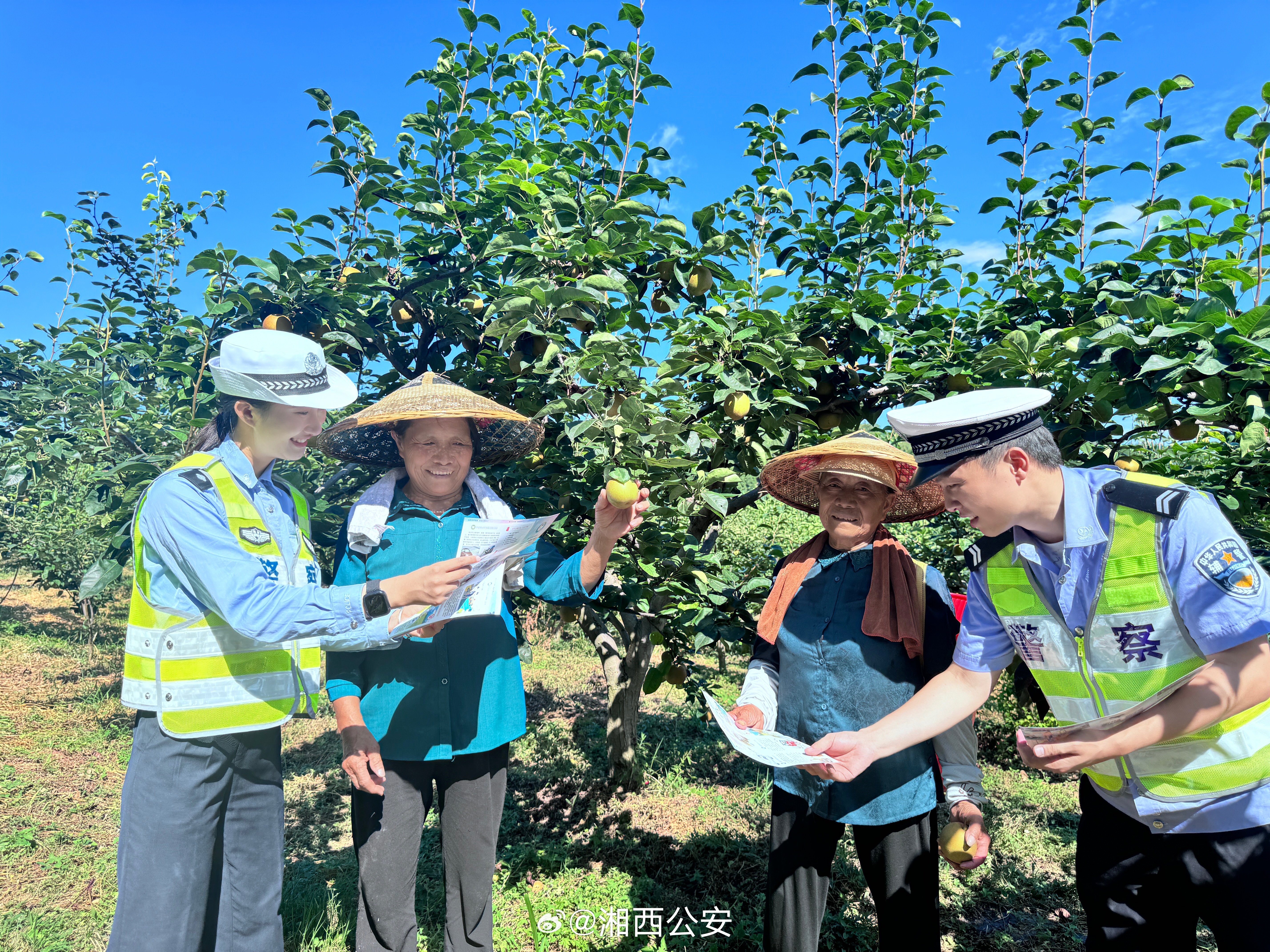 谢果村最新交通新闻，谢果村交通新闻更新，最新动态报道