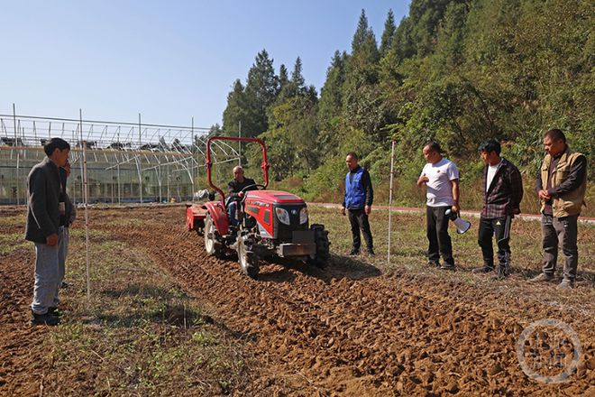 彭水苗族土家族自治县农业农村局最新领导团队介绍，彭水苗族土家族自治县农业农村局领导团队介绍