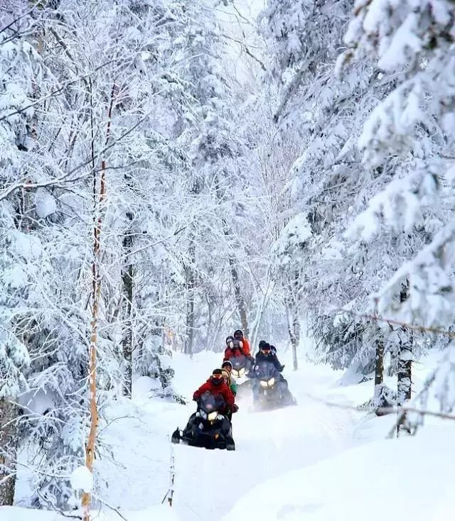 扎雪乡最新交通新闻及其影响分析，扎雪乡最新交通新闻及其深远影响分析