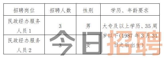 横县民政局最新招聘信息及相关解读，横县民政局最新招聘信息及解读