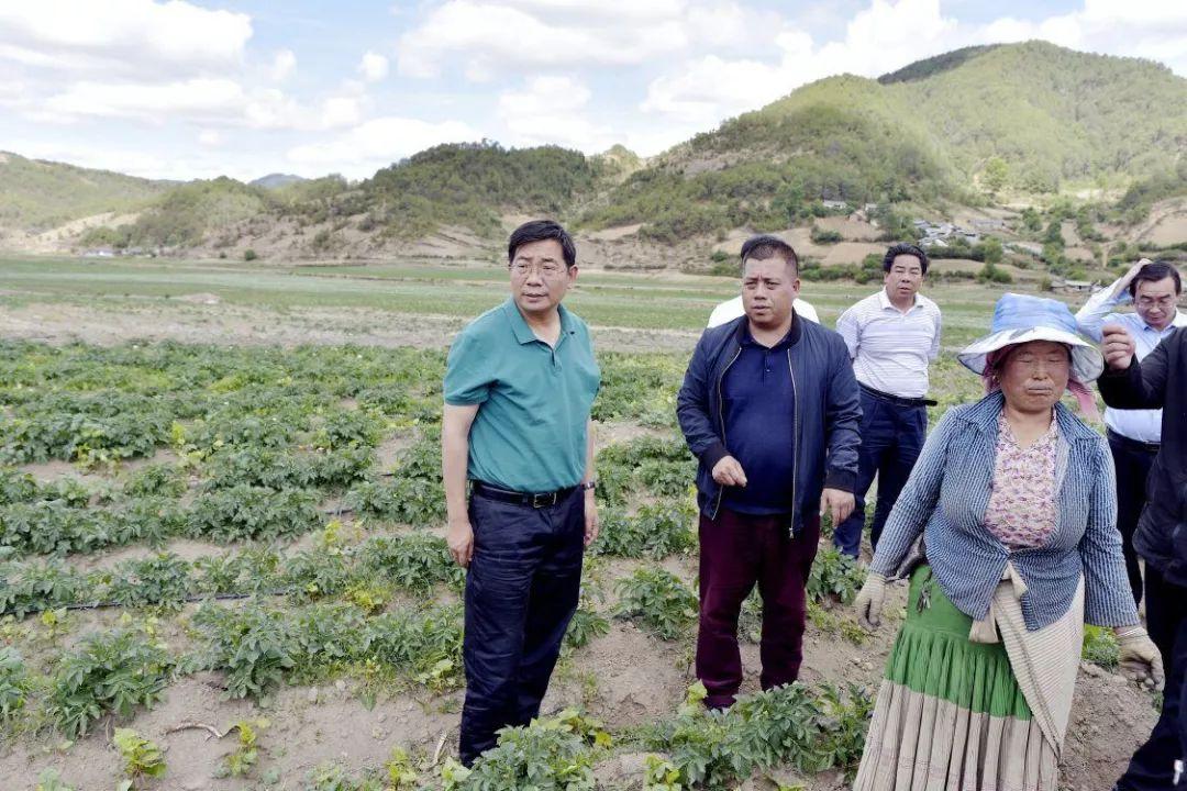 汉家岔村委会最新项目，引领乡村发展的先锋力量，汉家岔村委会新项目，引领乡村发展的先锋力量