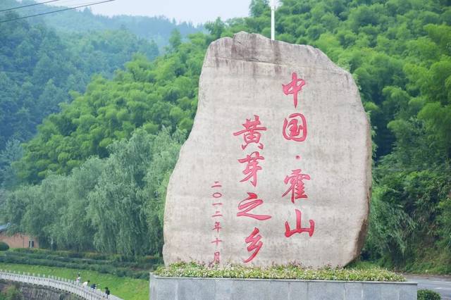 金坪村最新项目，引领乡村发展的典范之作，金坪村典范项目，引领乡村发展的先锋之路