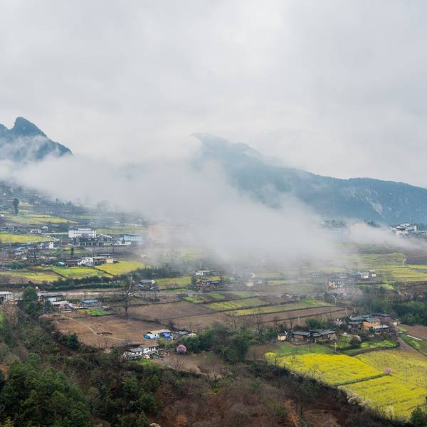 贡山独龙族怒族自治县小学最新领导团队介绍，贡山独龙族怒族自治县小学领导团队介绍